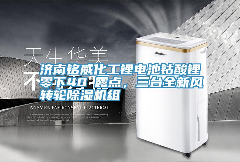濟南銘威化工鋰電池鈷酸鋰零下40℃露點，三臺全新風(fēng)轉(zhuǎn)輪除濕機組