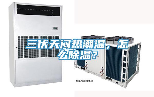 三伏天悶熱潮濕，怎么除濕？