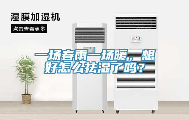 一場春雨一場暖，想好怎么祛濕了嗎？