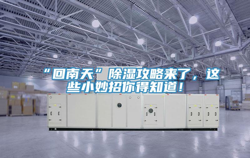 “回南天”除濕攻略來了，這些小妙招你得知道！