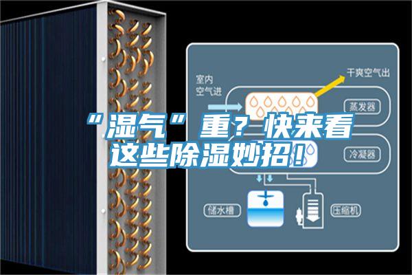 “濕氣”重？快來看這些除濕妙招！