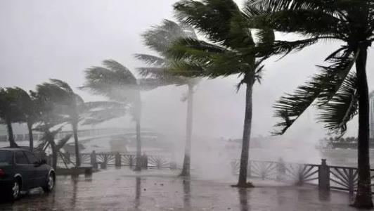 8月臺(tái)風(fēng)雨即將來，除濕機(jī)還得用起來