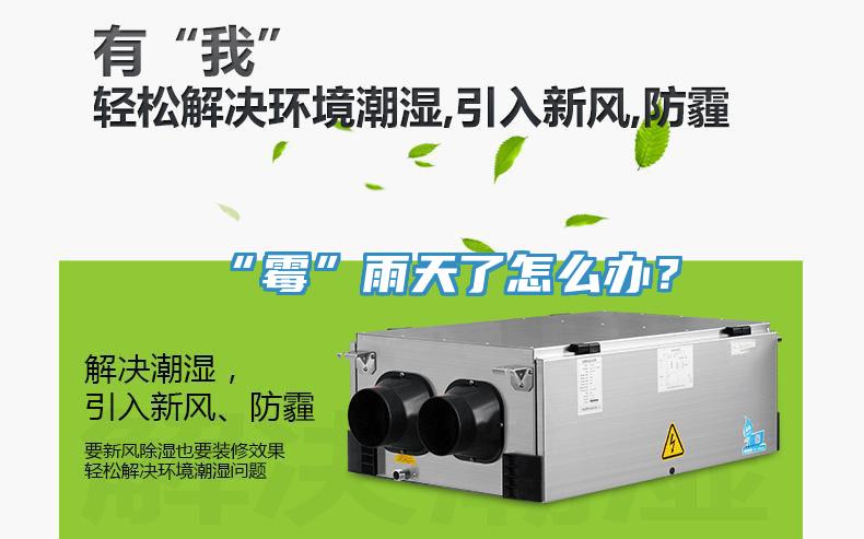 “霉”雨天了怎么辦？