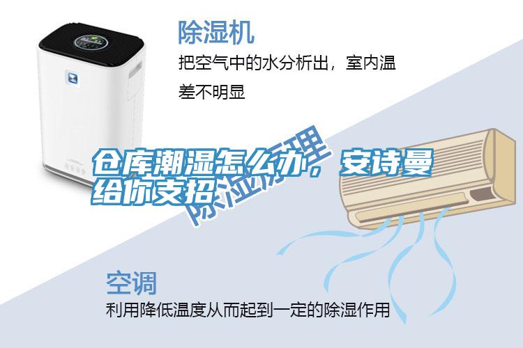 倉(cāng)庫(kù)潮濕怎么辦，安詩(shī)曼給你支招