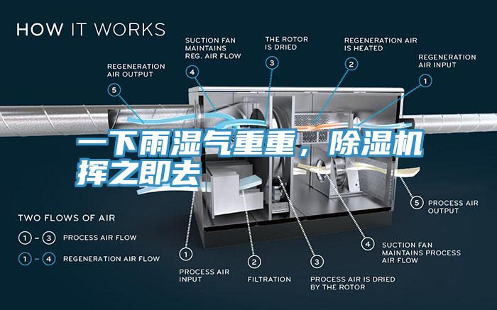 一下雨濕氣重重，除濕機(jī)揮之即去