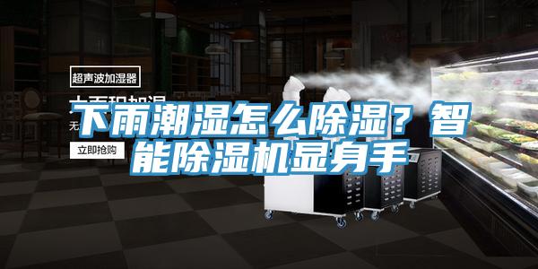 下雨潮濕怎么除濕？智能除濕機顯身手