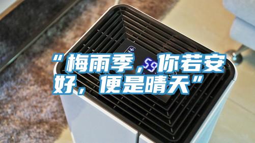 “梅雨季，你若安好，便是晴天”