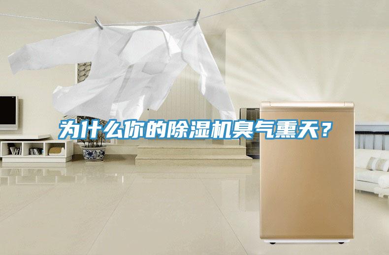 為什么你的除濕機(jī)臭氣熏天？