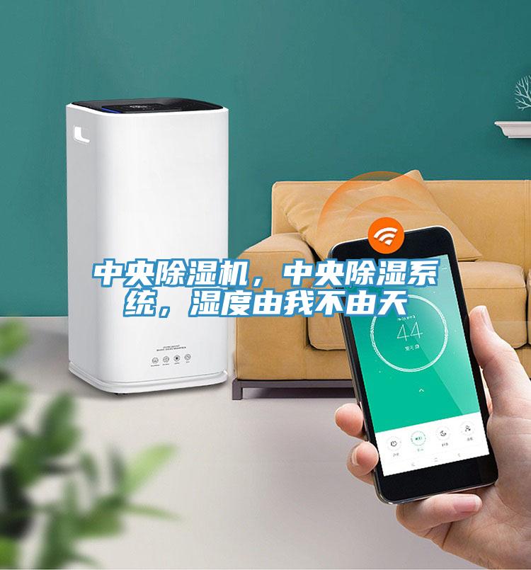 中央除濕機(jī)，中央除濕系統(tǒng)，濕度由我不由天