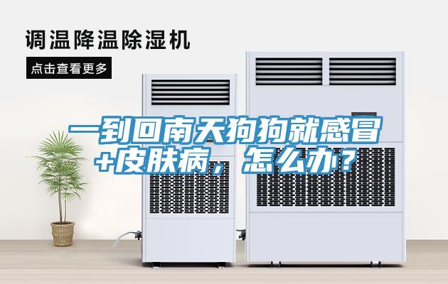 一到回南天狗狗就感冒+皮膚病，怎么辦？