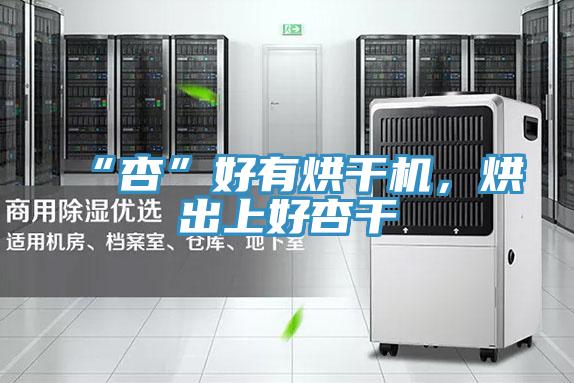 “杏”好有烘干機，烘出上好杏干