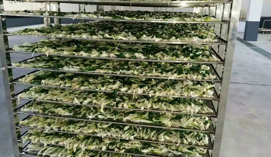 菜干需求一直都很大，蔬菜烘干機(jī)很有市場(chǎng)