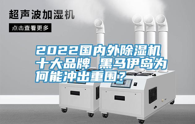 2022國內外除濕機十大品牌 黑馬伊島為何能沖出重圍？