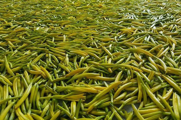無硫金針菜烘干如何保持品相？不發(fā)黑？_除濕機(jī)廠家
