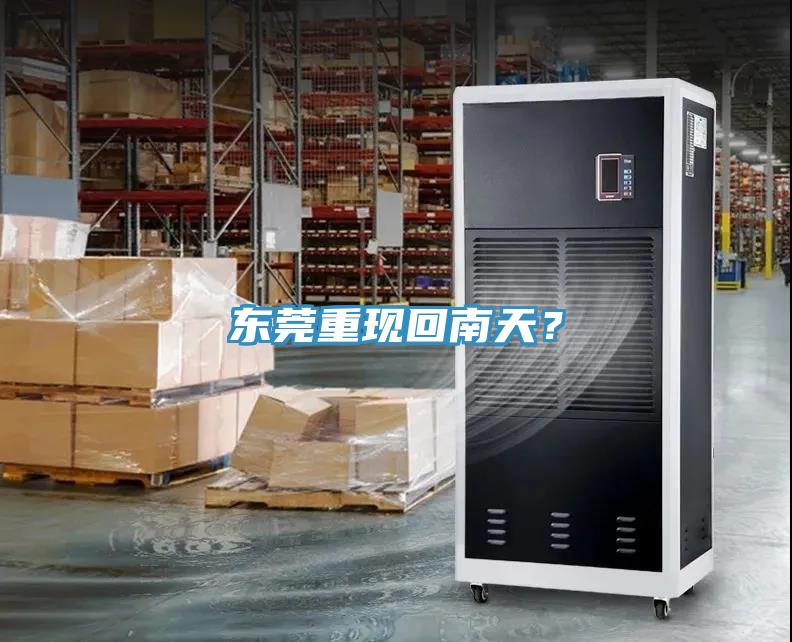 東莞重現(xiàn)回南天？