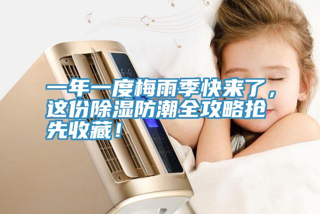 一年一度梅雨季快來了，這份除濕防潮全攻略搶先收藏！