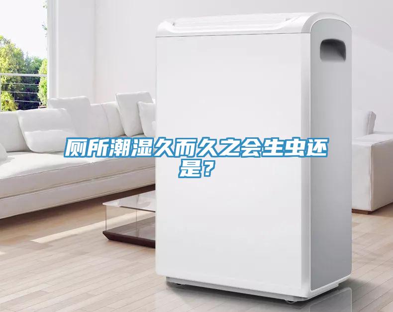 廁所潮濕久而久之會(huì)生蟲還是？