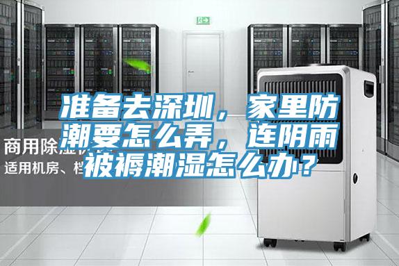 準(zhǔn)備去深圳，家里防潮要怎么弄，連陰雨被褥潮濕怎么辦？