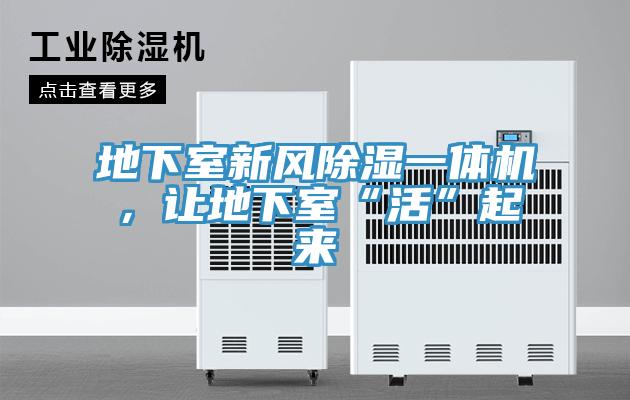 地下室新風(fēng)除濕一體機(jī)，讓地下室“活”起來