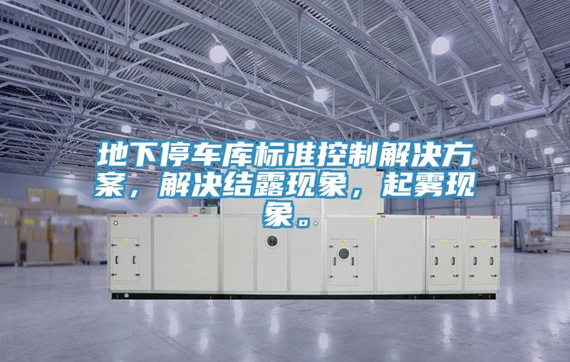 地下停車庫(kù)標(biāo)準(zhǔn)控制解決方案，解決結(jié)露現(xiàn)象，起霧現(xiàn)象。