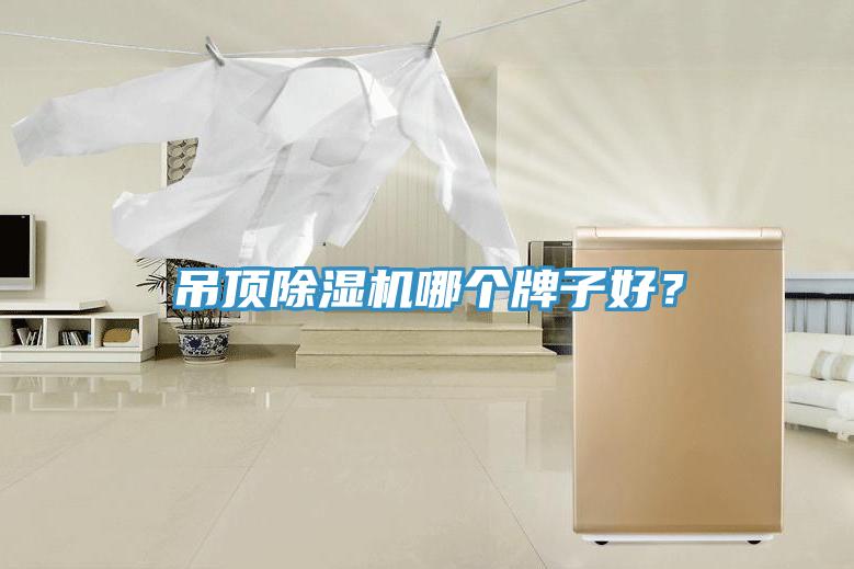 吊頂除濕機(jī)哪個(gè)牌子好？