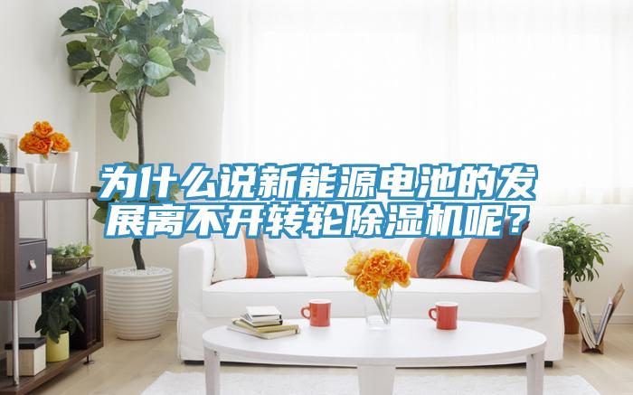為什么說新能源電池的發(fā)展離不開轉(zhuǎn)輪除濕機(jī)呢？