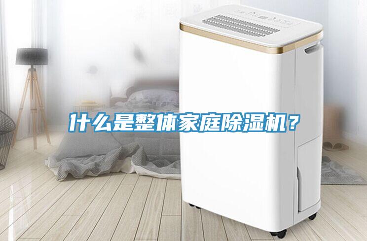 什么是整體家庭除濕機(jī)？