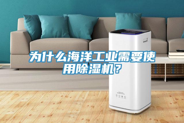 為什么海洋工業(yè)需要使用除濕機(jī)？