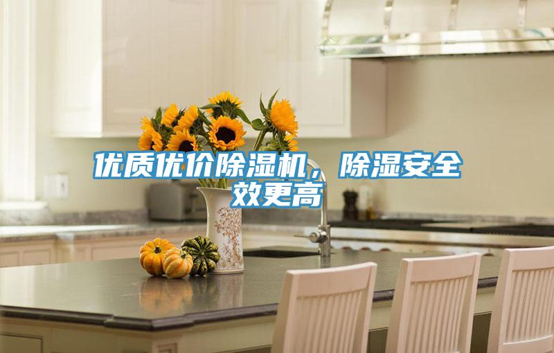 優(yōu)質(zhì)優(yōu)價除濕機(jī)，除濕安全效更高