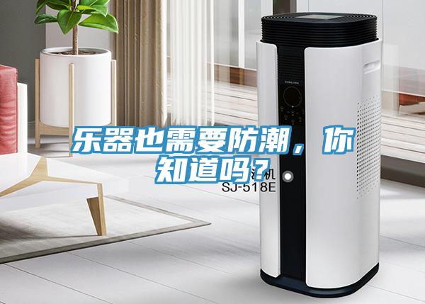 樂器也需要防潮，你知道嗎？