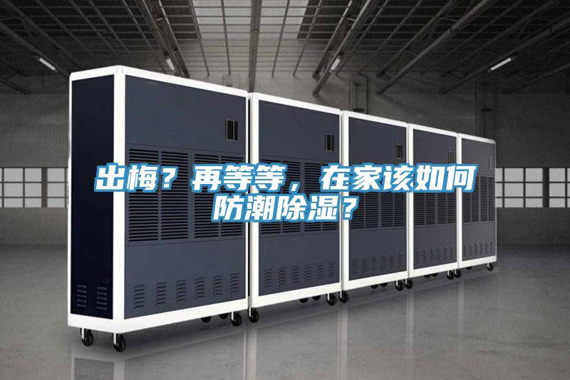 出梅？再等等，在家該如何防潮除濕？