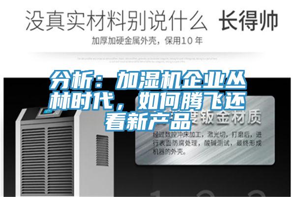 分析：加濕機(jī)企業(yè)叢林時(shí)代，如何騰飛還看新產(chǎn)品