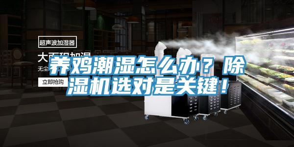 養(yǎng)雞潮濕怎么辦？除濕機選對是關鍵！