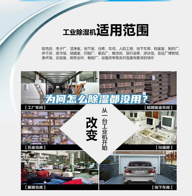 為何怎么除濕都沒用？