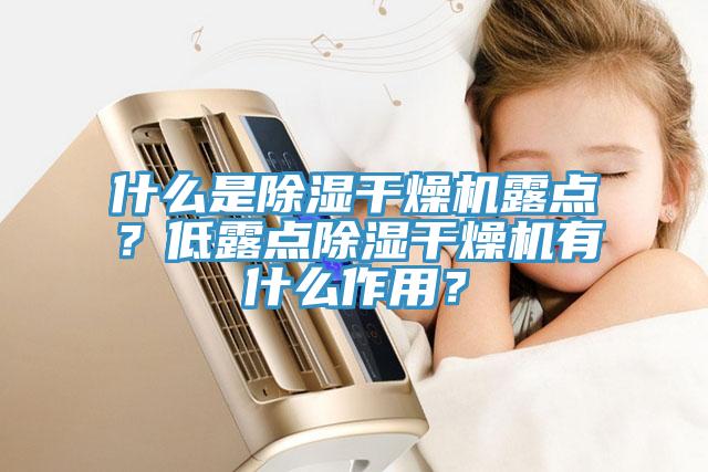 什么是除濕干燥機露點？低露點除濕干燥機有什么作用？