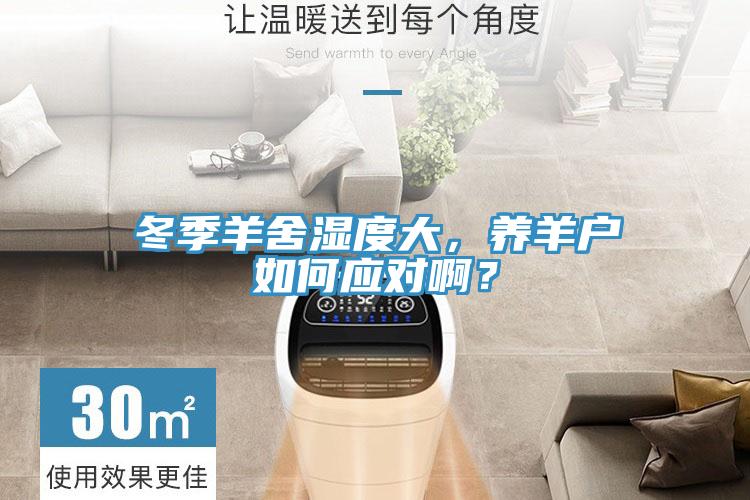冬季羊舍濕度大，養(yǎng)羊戶如何應(yīng)對啊？