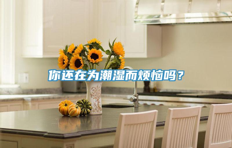 你還在為潮濕而煩惱嗎？