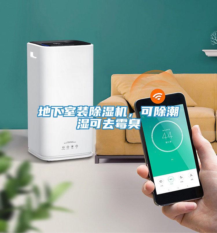地下室裝除濕機，可除潮濕可去霉臭