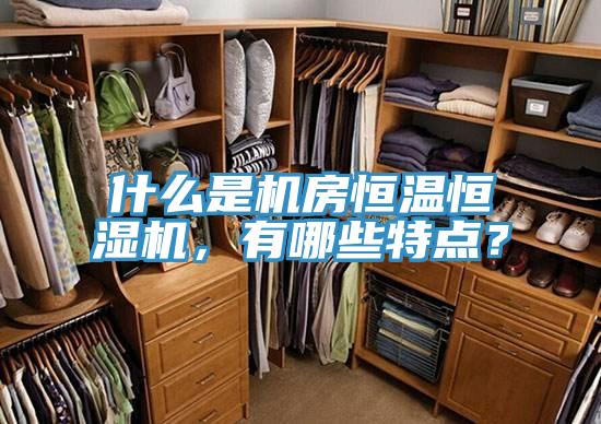 什么是機(jī)房恒溫恒濕機(jī)，有哪些特點(diǎn)？