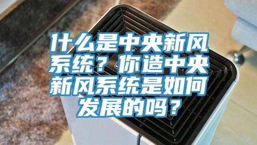 什么是中央新風(fēng)系統(tǒng)？你造中央新風(fēng)系統(tǒng)是如何發(fā)展的嗎？