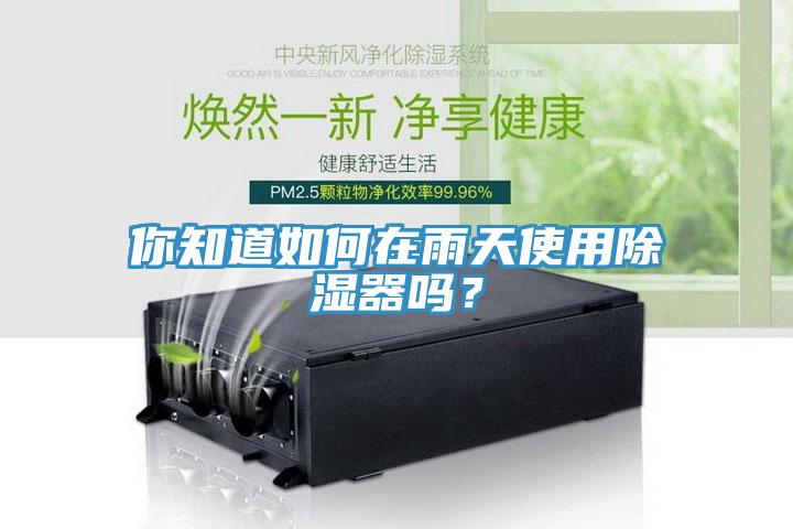 你知道如何在雨天使用除濕器嗎？