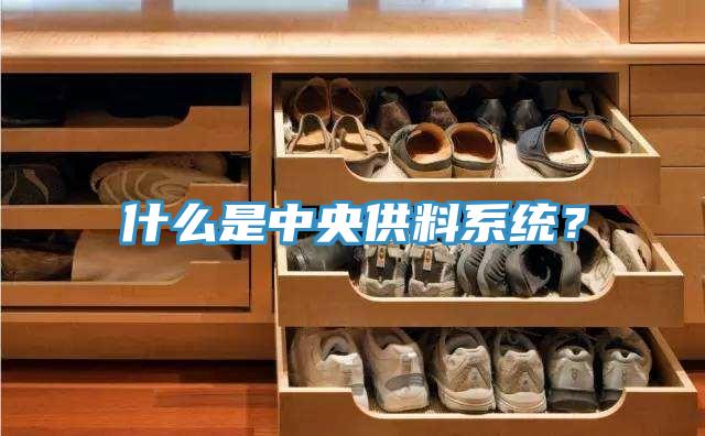 什么是中央供料系統(tǒng)？
