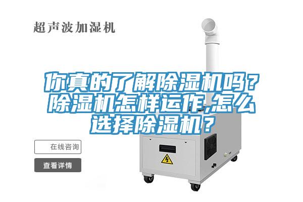 你真的了解除濕機嗎？除濕機怎樣運作,怎么選擇除濕機？