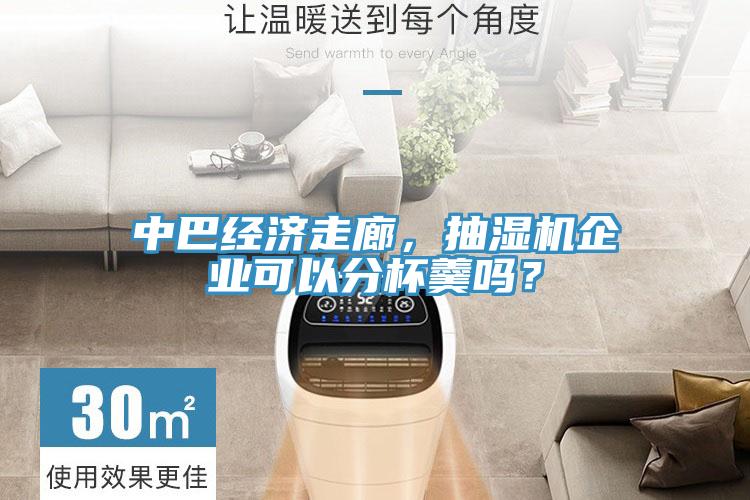 中巴經(jīng)濟(jì)走廊，抽濕機(jī)企業(yè)可以分杯羹嗎？