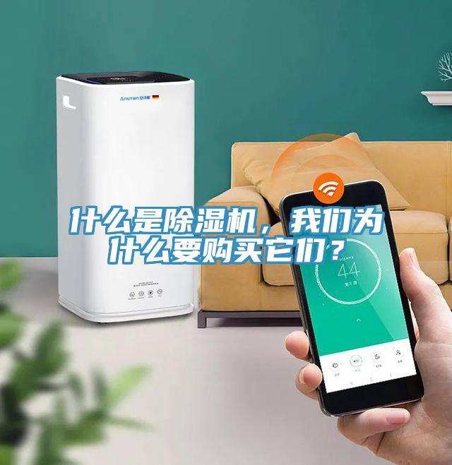 什么是除濕機，我們?yōu)槭裁匆徺I它們？