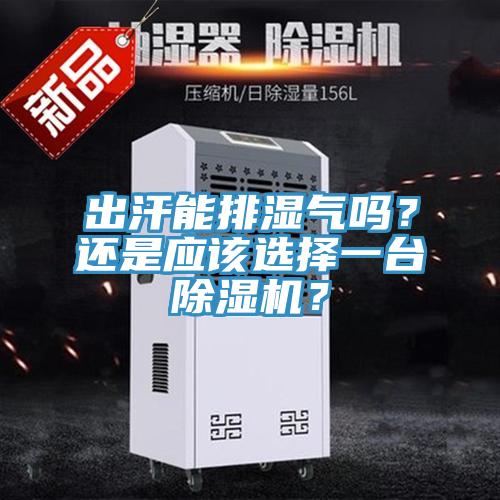 出汗能排濕氣嗎？還是應(yīng)該選擇一臺除濕機(jī)？