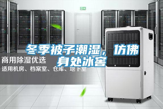 冬季被子潮濕，仿佛身處冰窖