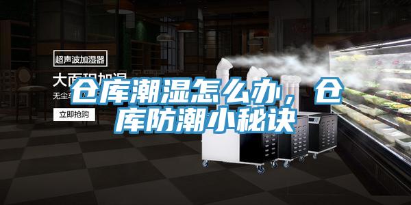 倉庫潮濕怎么辦，倉庫防潮小秘訣
