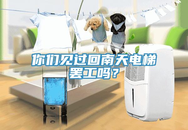 你們見過回南天電梯罷工嗎？