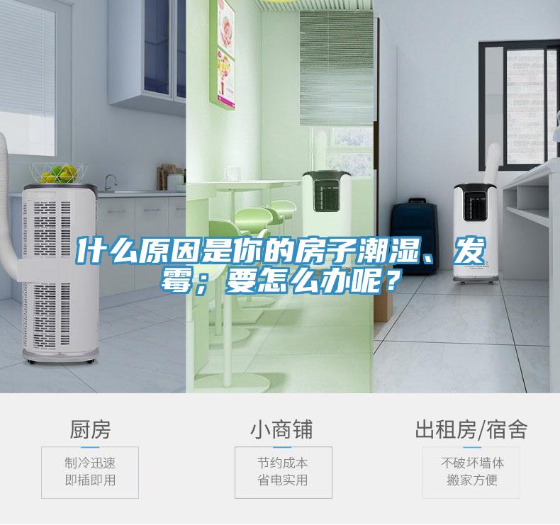 什么原因是你的房子潮濕、發(fā)霉；要怎么辦呢？